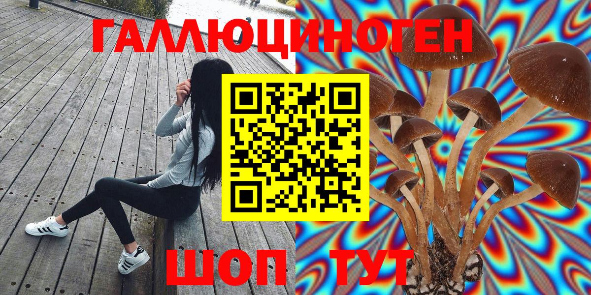 Псилоцибиновые грибы MAGIC MUSHROOMS  Псилоцибиновые грибы Psilocybine cubensis  Вход с VPN  Артём 